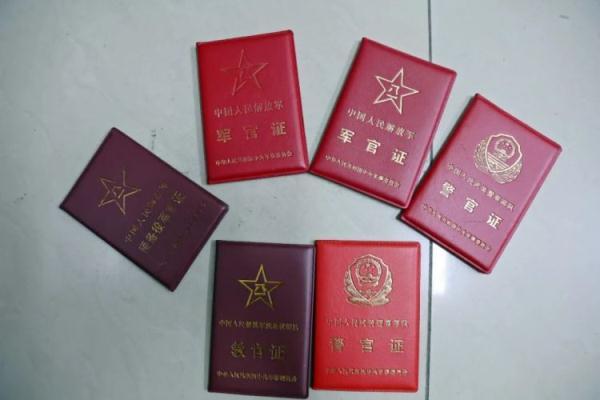 在线保皇